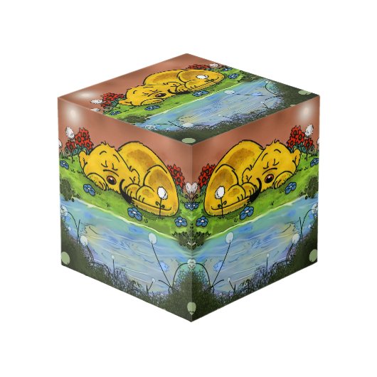 Photo Ferald | Cube de furet dormant (Angle arrière)