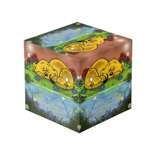 Photo Ferald | Cube de furet dormant (Angle devant)