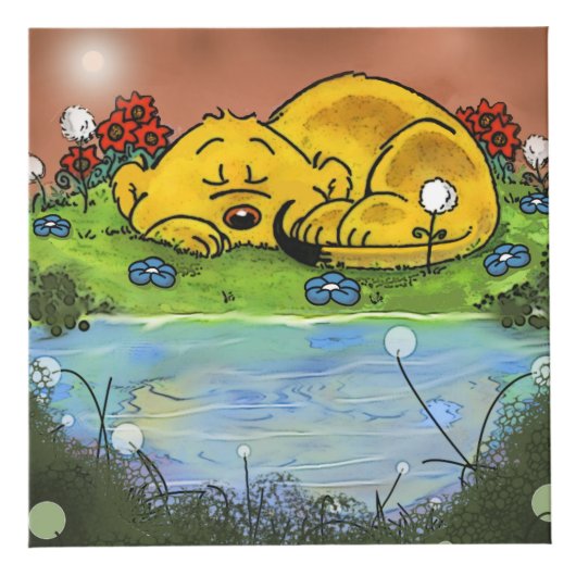 Photo Ferald | Cube de furet dormant (Devant)