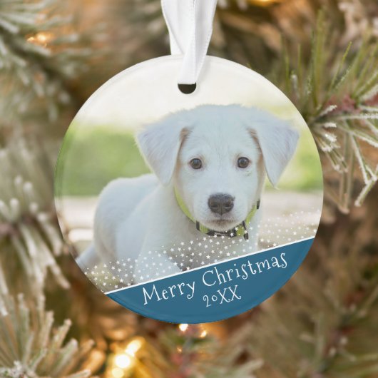 Photo Fête de Noël pour animaux familiers (Arbre)