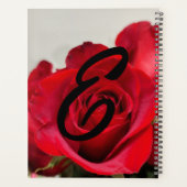 Photo Fleur Rouge (Dos)