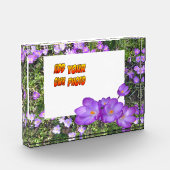 Photo Fleurs Violettes Crocus Violets Poussière. Bloc ph (Gauche)