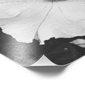 Photo florale blanche 10x8 (Coin)