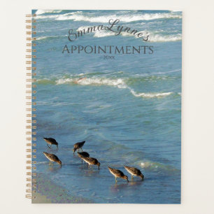 Photo Florida Shorebirds Océan Mensuel Et Hebdomad