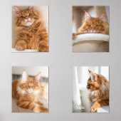 Photo Four Family Cat 8x10 (Recto)