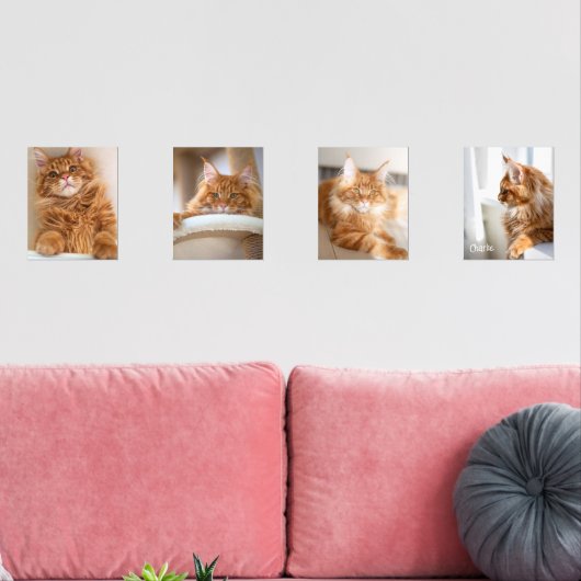 Photo Four Family Cat 8x10 (Salon)