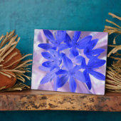 Photo Gloire de la Plaque Bleue Chocking Neige (Côté)