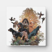Photo Gordon Setter, Plaque (Devant)