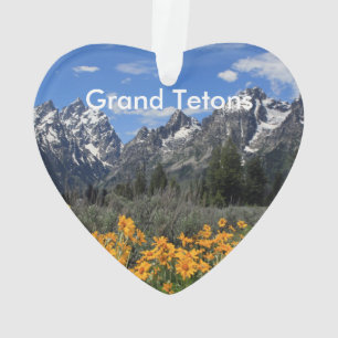 Photo Grand Teton Springtime Souvenir