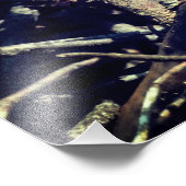 Photo Green Lizard (Coin)