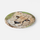 Photo guepard, chat. assiette en papier (Angle)