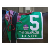 Photo Gunite Saddlecloth Imprimer (Devant)