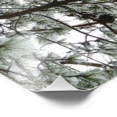 Photo hivernale sous le pin couvert de neige (Coin)