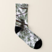 Photo hivernale sous le pin couvert de neige (Gauche intérieur)