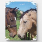 Photo Horse Romance Plaque (Devant)
