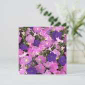 Photo Image Of Morning Glory Pink & Purple Flowers Kaart (Staand voorkant)