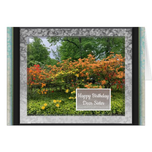 Photo Images de la carte d'anniversaire Soeur (Devant horizontal)