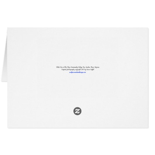 Photo immaculée de rose blanc (Dos Horizontal)