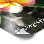 Photo Impression 8x10 - Plumeria rose et jaune (Coin)
