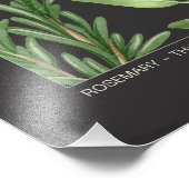 Photo Impression botanique d'herbes robustes (Coin)