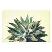 Photo Impression botanique tropicale à l'aquarelle Agave (Devant)