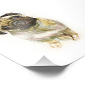 Photo Impression carlin face | Chien de Carlin mignon (Coin)