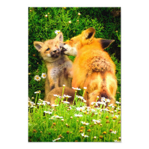 Photo Impression d'art de la faune intitulée Le Baiser d