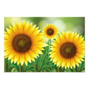 Photo Impression d'art-Tournesols