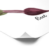 Photo Impression de betterave aquarelle (Coin)