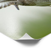 Photo Impression de congé (Coin)