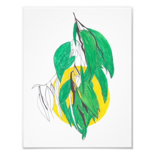 Photo Impression de feuille d'eucalyptus (Devant)