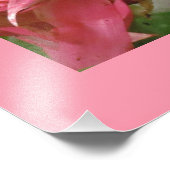 Photo Impression de fleurs exotiques (Coin)