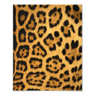 Photo Impression de fourrure Jaguar