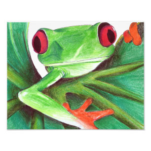 Photo impression de grenouille mignonne