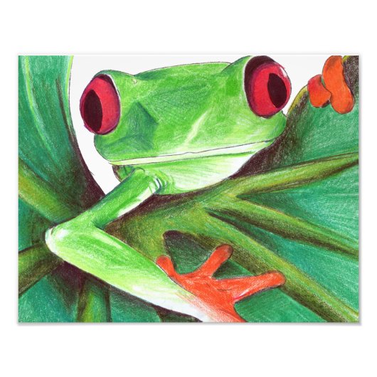 Photo impression de grenouille mignonne (Devant)