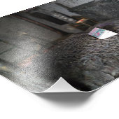 Photo Impression de la chambre abandonnée - Miniature ab (Coin)