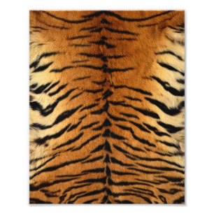 Photo Impression de la fourrure en bande de tigre