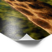 Photo Impression de la girafe (Coin)