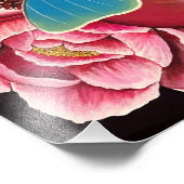 Photo Impression de la grenade et de la luna Moth (Coin)