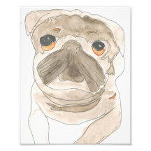 Impression de la pression de zues