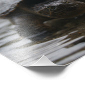 Photo Impression de l'adaptateur d'alligator (Coin)