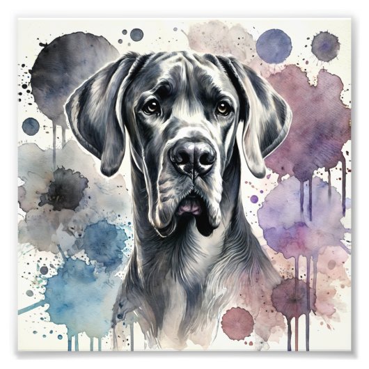 Photo Impression de l'aquarelle Regal Great Dane (Devant)