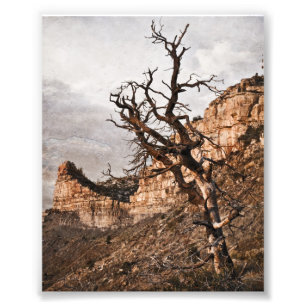 Photo Impression de Mesa Verde