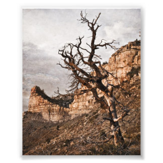 Photo Impression de Mesa Verde