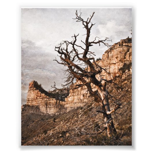 Photo Impression de Mesa Verde (Devant)