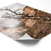 Photo Impression de Mesa Verde (Coin)