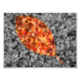 Photo Impression de photos d'ombres vives