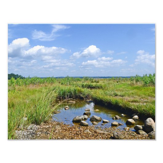 Photo Impression de photos du marais Hammonasset (Devant)