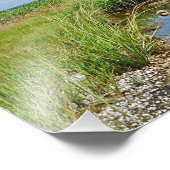 Photo Impression de photos du marais Hammonasset (Coin)