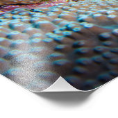 Photo Impression de poisson blanc (Coin)